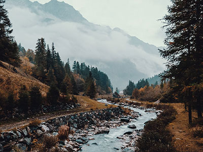 娇妻难寻,傅总他蓄谋已久全集完整版免费在线观看,未删减版资源,百度网盘夸克网盘免费下载分享