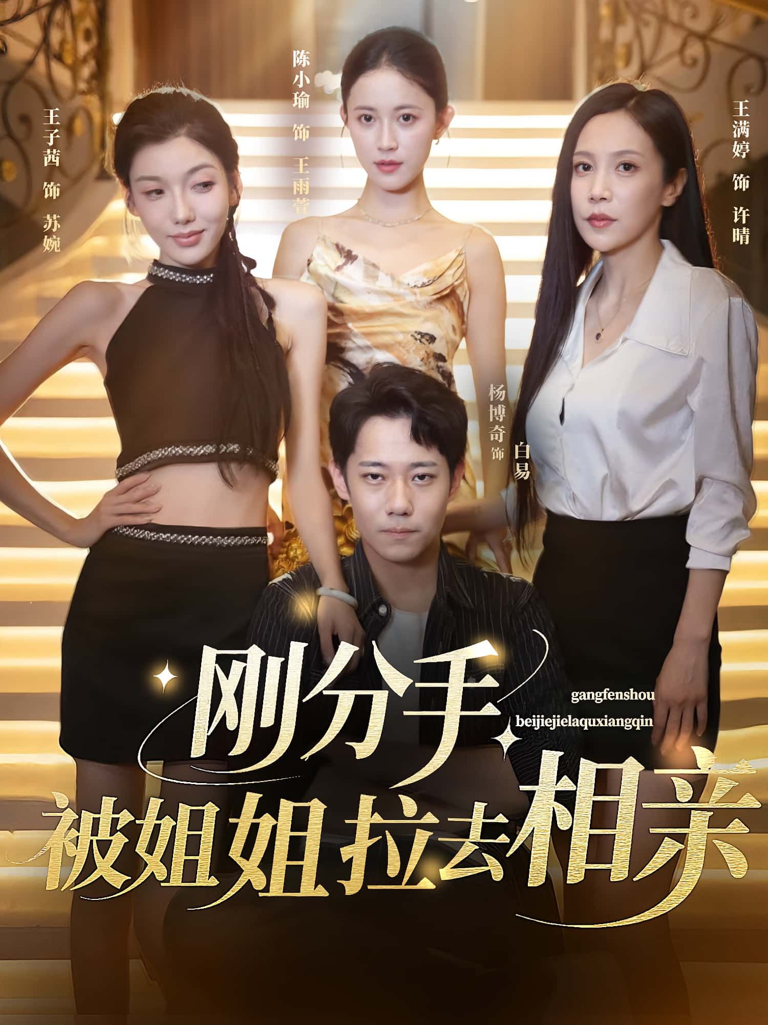 热门短剧刚分手被姐姐拉去相亲（73集）全集完整版未删减，极速免费在线观看，百度网盘夸克网盘免费资源分享下载  第1张