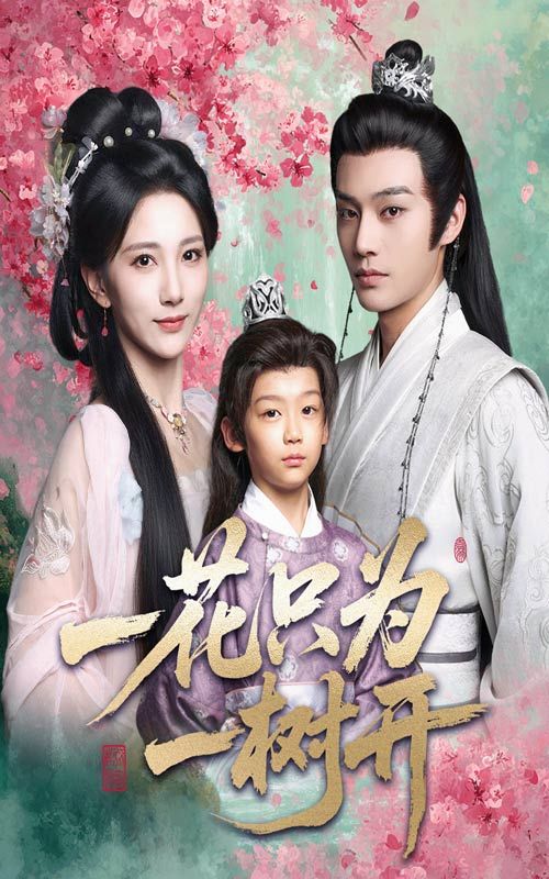 一花只为一树开柳甯高明君主演54集全集免费在线观看未删减版，百度网盘夸克网盘资源分享下载