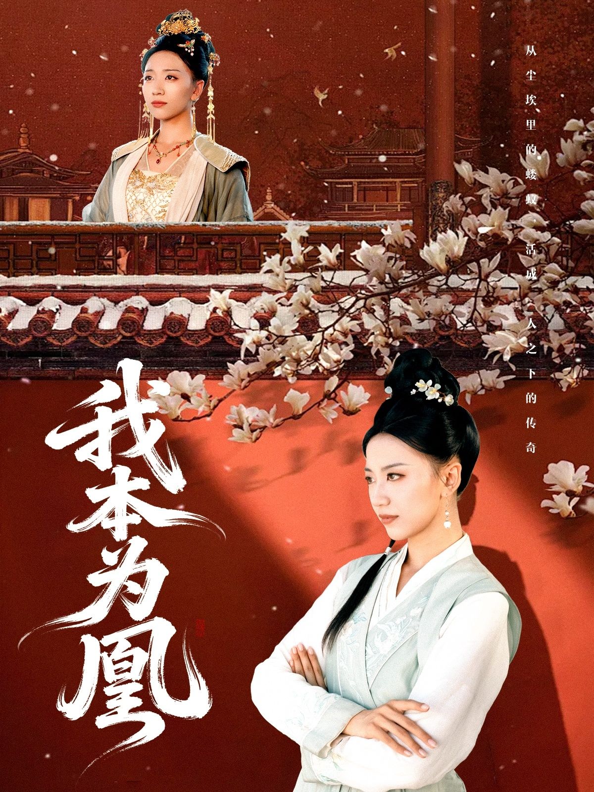 热门短剧我本为凰82集全集 傅宇航刘继徽主演 超清免费在线观看未删减版 百度网盘夸克网盘资源下载  第1张