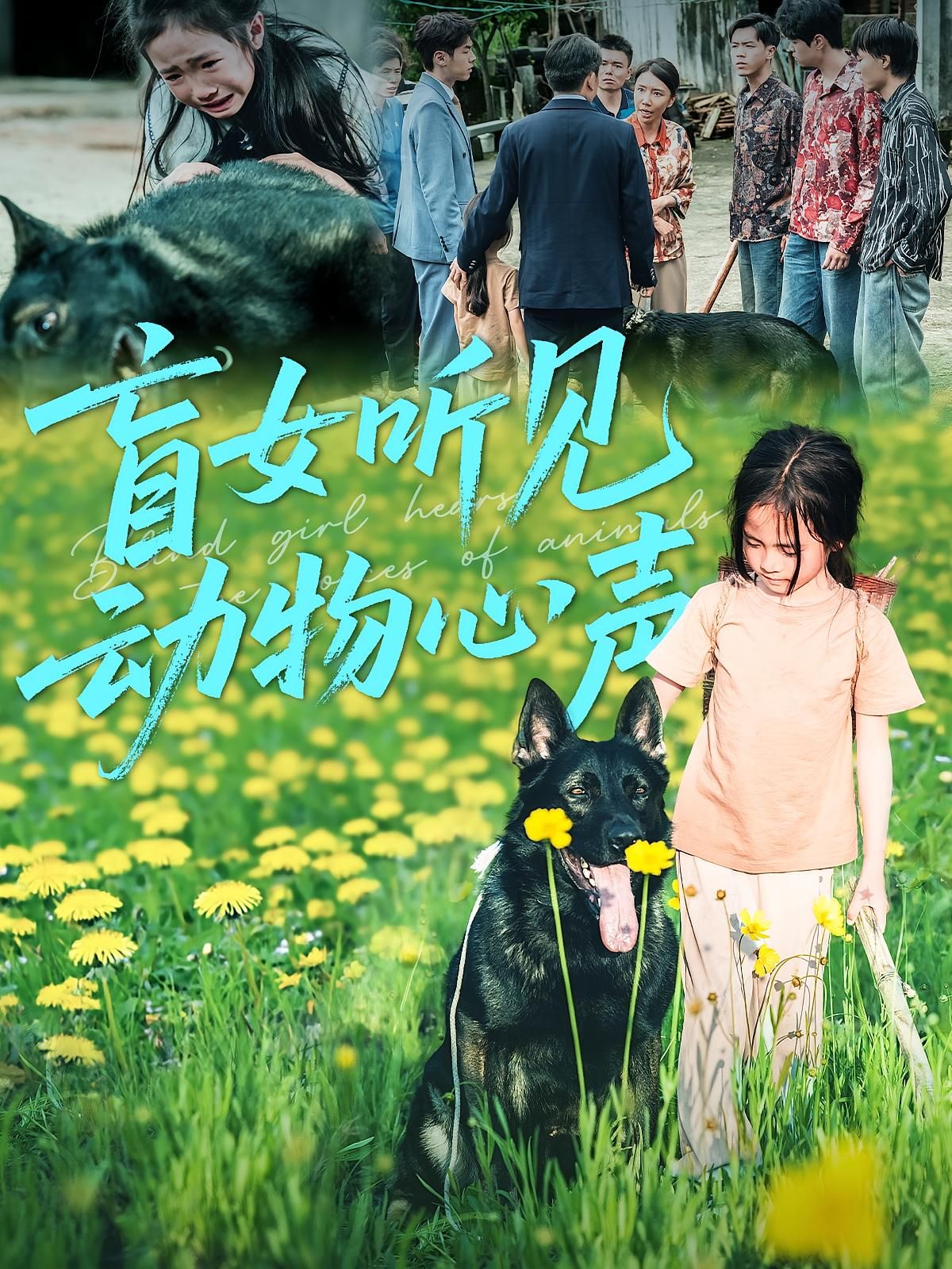 热门短剧盲女听见动物心声全集61集未删减版免费在线观看,百度网盘夸克网盘资源分享下载,完整版播放未删减短剧资源 第1张 热门短剧盲女听见动物心声全集61集未删减版免费在线观看,百度网盘夸克网盘资源分享下载,完整版播放未删减短剧资源 第1张