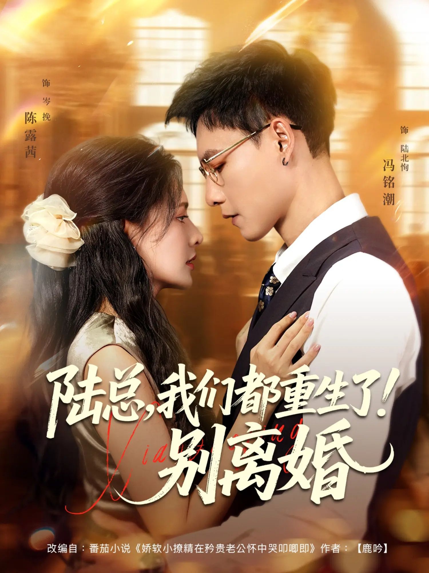 陆总我们都重生了别离婚79集全集未删减版 冯铭潮陈露茜主演 免费在线观看 百度网盘夸克网盘资源分享下载  第1张