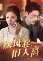 疾风起旧人离（32集）薛海威刘灿全集完整版免费在线观看未删减版 百度网盘夸克网盘资源免费分享下载