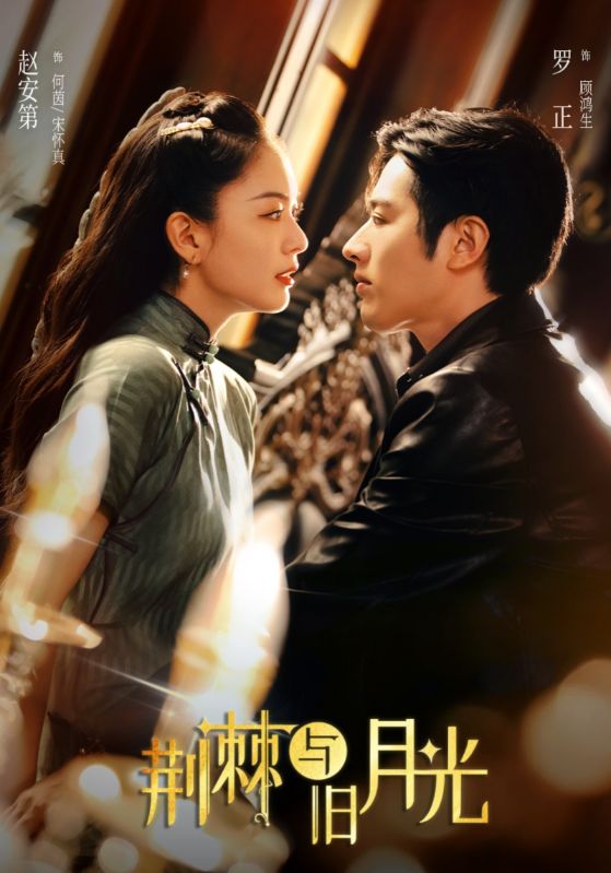 热门短剧《荆棘与旧月光（80集）罗正＆赵安第》 全集完整版高清免费在线观看播放未删减版资源，短剧百度网盘夸克网盘免费资源分享下载  第1张
