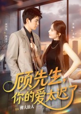 热门短剧《顾先生你的爱太迟了（60集）祝国凯&罗琳》 全集完整版免费无广告在线观看播放未删减版资源，短剧百度网盘夸克网盘免费资源分享下载  第1张