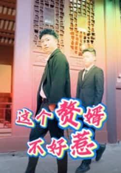 热门短剧《这个赘婿不好惹(27集)》 全集完整版免费稳定在线观看播放未删减版资源,短剧百度网盘夸克网盘免费资源分享下载 第1张 热门短剧《这个赘婿不好惹(27集)》 全集完整版免费稳定在线观看播放未删减版资源,短剧百度网盘夸克网盘免费资源分享下载 第1张