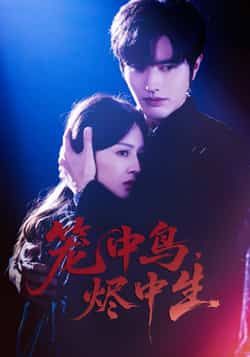 笼中鸟,烬中生罗正郑初晨60集全集免费在线观看未删减版,百度夸克网盘资源下载无需注册 第1张 笼中鸟,烬中生罗正郑初晨60集全集免费在线观看未删减版,百度夸克网盘资源下载无需注册 第1张