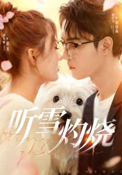 热门短剧听雪灼烧68集全集完整版免费在线观看 未删减版 希尔力刘美娜主演 百度网盘夸克网盘免费资源分享下载  第1张