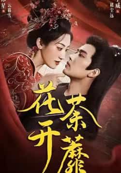 热门短剧花开荼蘼88集王宇威王冰星全集完整版免费在线观看未删减版 百度网盘夸克网盘资源秒存下载  第1张