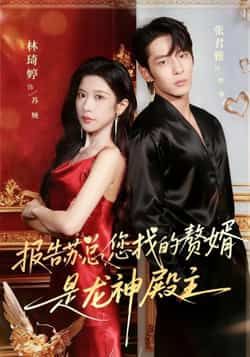 热门短剧报告苏总，您找的赞婿是龙神殿主全集完整版免费在线观看未删减版，网盘资源秒存分享下载  第1张