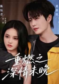 热门短剧重燃之深情未晚全集完整版免费无需注册在线观看播放未删减版，百度网盘夸克网盘免费资源分享下载  第1张