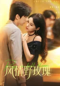 热门短剧风情野玫瑰全集完整版免费无广告在线观看播放未删减版,百度网盘夸克网盘免费资源分享下载 第1张 热门短剧风情野玫瑰全集完整版免费无广告在线观看播放未删减版,百度网盘夸克网盘免费资源分享下载 第1张