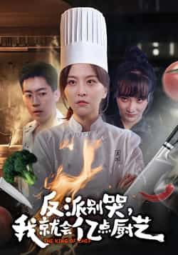 热门短剧反派别哭，我就会亿点厨艺全集完整版免费在线观看未删减版，百度网盘夸克网盘免费资源分享下载  第1张