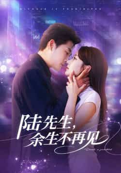 热门短剧陆先生，余生不再见全集高清免费在线观看未删减版，百度网盘/夸克网盘免费资源分享下载，完整版播放资源获取指南  第1张