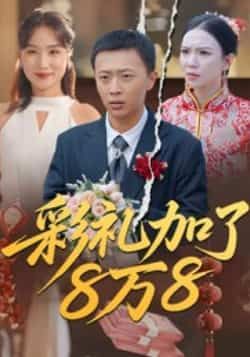 热门短剧彩礼加了8万8全集完整版未删减，免费在线观看播放，百度网盘夸克网盘资源分享下载  第1张