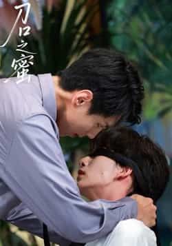 热门短剧刀口之蜜全集完整版未删减免费在线观看,百度网盘夸克网盘免费资源分享下载,高清无删减版即时看 第1张 热门短剧刀口之蜜全集完整版未删减免费在线观看,百度网盘夸克网盘免费资源分享下载,高清无删减版即时看 第1张