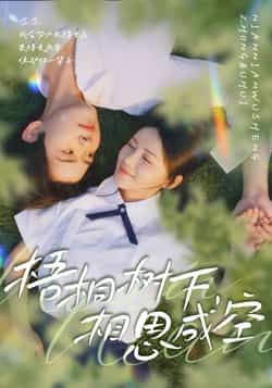 热门短剧梧桐树下,相思成空全集完整版免费在线观看未删减版,百度网盘夸克网盘资源分享下载