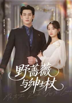 野蔷薇与绅士杖全集完整版免费无卡顿在线观看,未删减版资源直达,百度网盘夸克网盘免费分享下载,高清流畅更新中